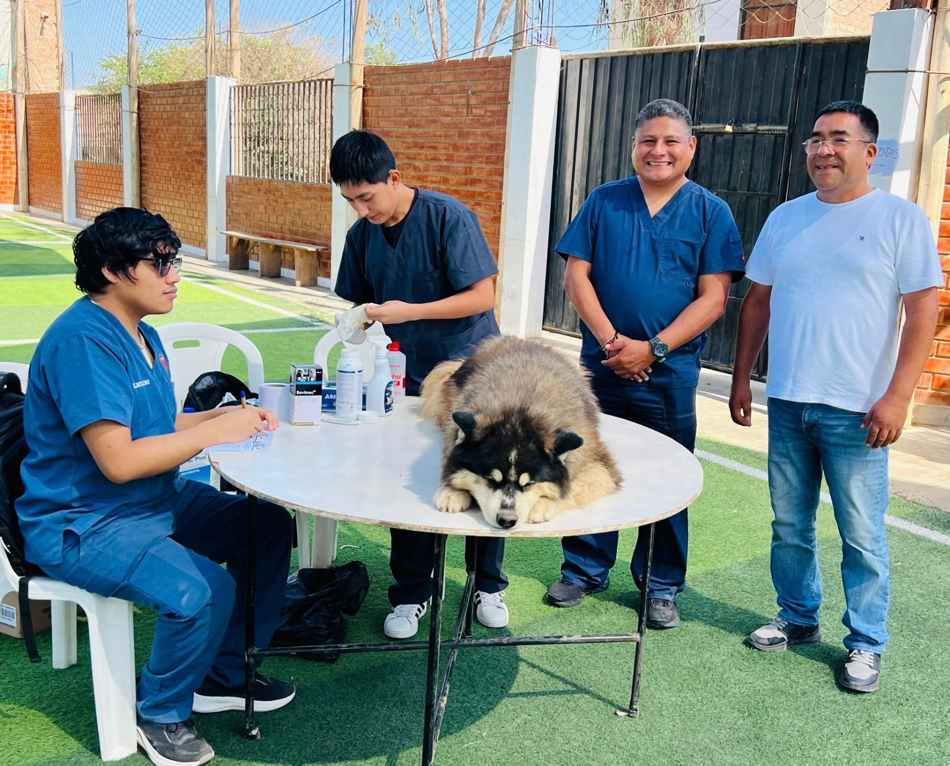 Campaña veterinaria gratuita para mascotas de Chincha